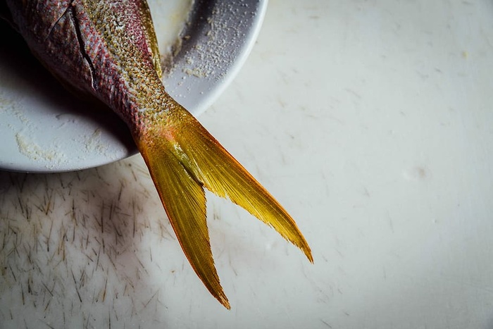 鱼，配料，盘子，海鲜，食品，新鲜度，自然，动物