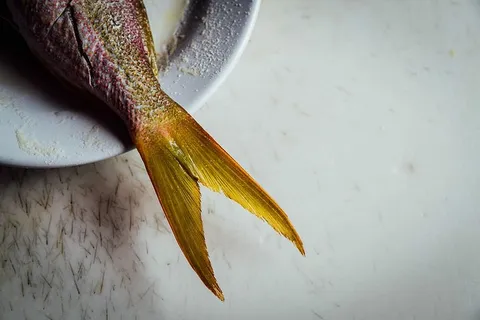 鱼，配料，盘子，海鲜，食品，新鲜度，自然，动物