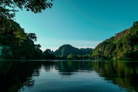 身体，水，绿色，叶子，树木，白天，照片，白天