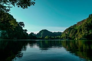 身体，水，绿色，叶子，树木，白天，照片，白天