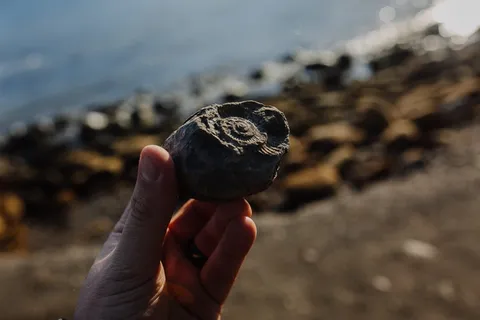 持石人的选择性聚焦摄影 持石人的选择性聚焦摄影