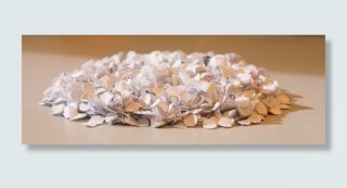 圆形、白色、纸批、打孔、打孔、废料、纸张、婚礼