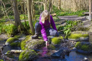 树，森林，女孩，水，小溪，小溪，触摸，感觉