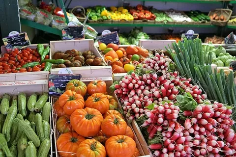 萝卜、水果、蔬菜、食物、食品、市场、销售、服务 萝卜、水果、蔬菜、食物、食品、市场、销售、服务