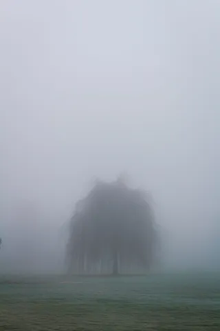 雾，环境，没有人，自然，草，大气的心情，天空，美丽的自然