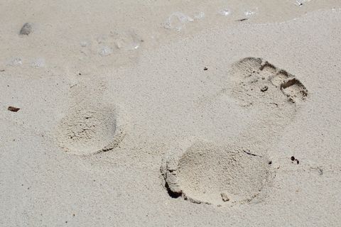 巴哈马、海滩、沙滩、脚印、水、脚、标记、土地