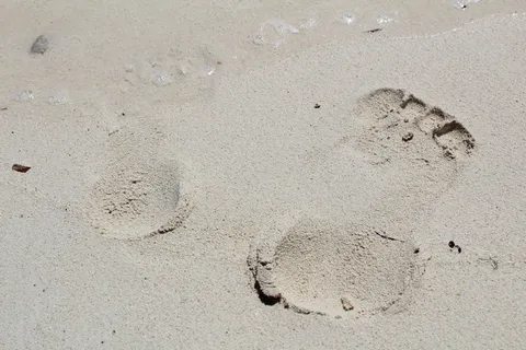 巴哈马、海滩、沙滩、脚印、水、脚、标记、土地 巴哈马、海滩、沙滩、脚印、水、脚、标记、土地