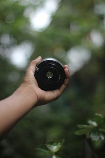 自然，树叶，户外，焦点，锁屏壁纸，手握，人手，手