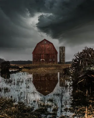 死亡、树木、老旧、谷仓、景观、农场、废弃、农作物