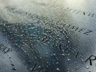 美国，纽约，世界贸易中心，纪念馆，水，911，名称，文本