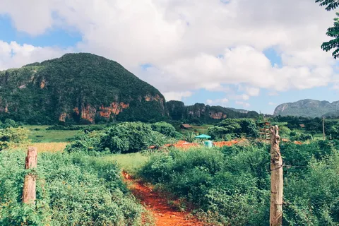 古巴、维纳尔、奥古斯丁、蒙特斯鸠、植物、云天、天空、树 古巴、维纳尔、奥古斯丁、蒙特斯鸠、植物、云天、天空、树