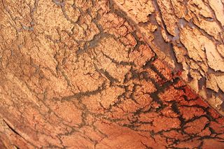 油漆、裂缝、船漆、污浊、粗糙、表面、老化、损坏