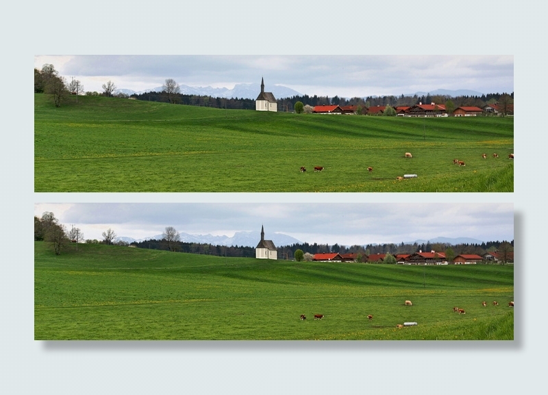 草、自然、全景、夏季、乡村、田野、景观、树木