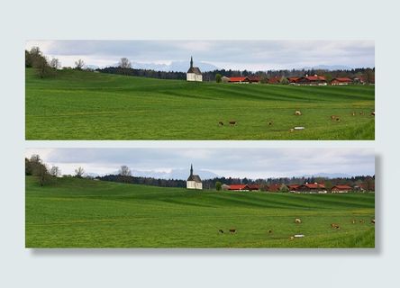 草、自然、全景、夏季、乡村、田野、景观、树木