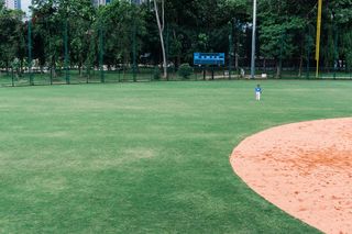 植物，树木，绿色，草，运动，自然，白天，土地