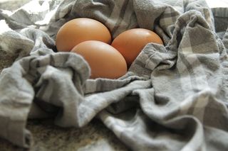 鸡蛋、食品、食品和饮料、健康饮食、健康、新鲜、生食品、室内