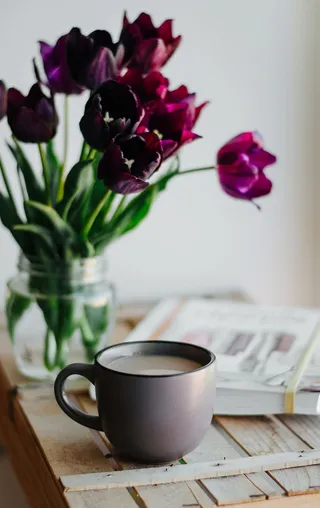 植物，花，花，饮料，饮料，牛奶，杯子，咖啡杯