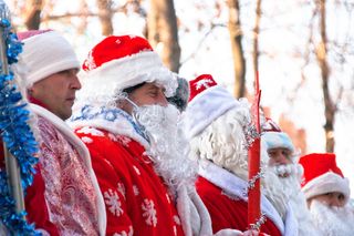 胡子，庆祝，圣诞节，克劳斯，十二月，弗罗斯特，团体，很多