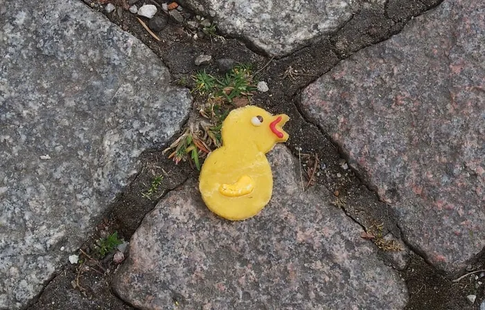 复活节，小鸡，甜蜜，迷失，小鸟，黄色，高角度视野，无人