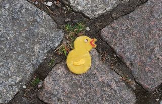 复活节，小鸡，甜蜜，迷失，小鸟，黄色，高角度视野，无人