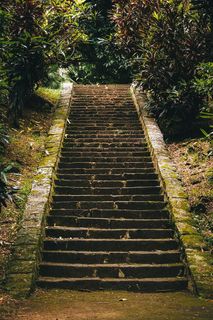 毛里求斯、泡沫、丛林、森林、楼梯、岛屿、手机壁纸、旧款