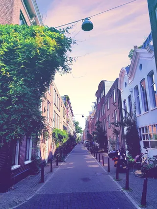 路径、走道、车轮、机器、车辆、自行车、交通工具、自行车