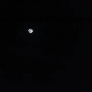 法国,家,斯特拉斯堡,黑,白,黑白,月亮,夜晚 法国,家,斯特拉斯堡,黑,白,黑白,月亮,夜晚