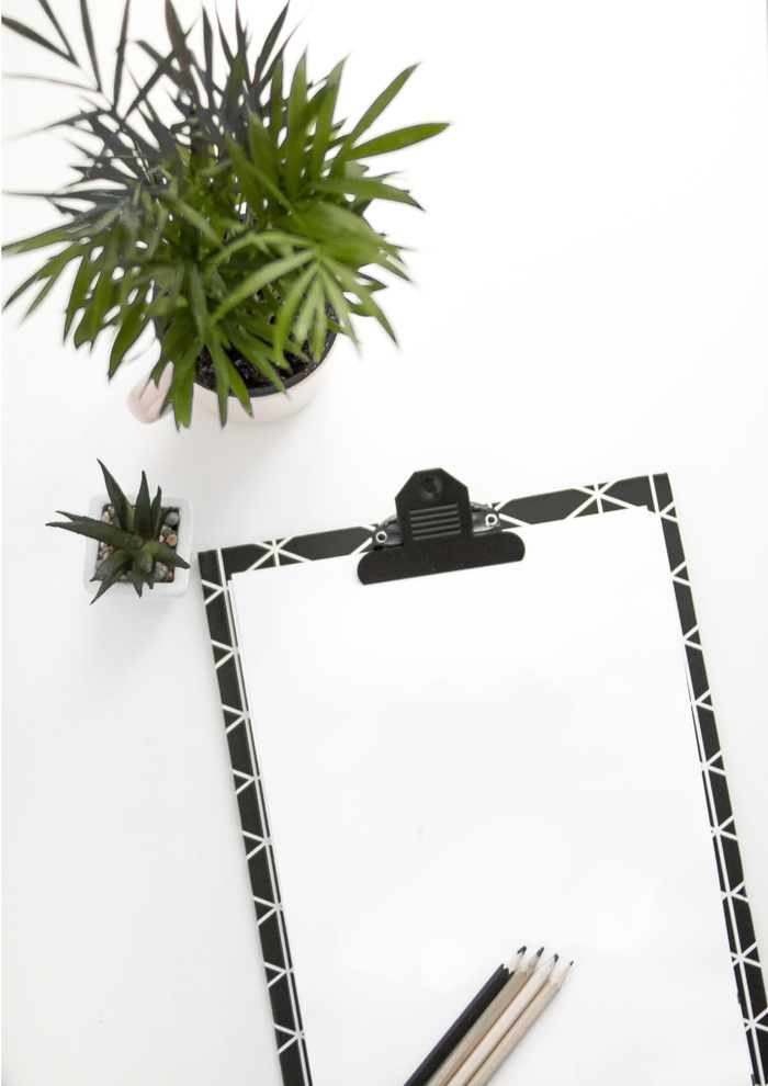 白色表面盆栽植物旁的纸