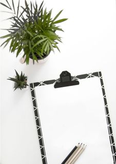 白色表面盆栽植物旁的纸