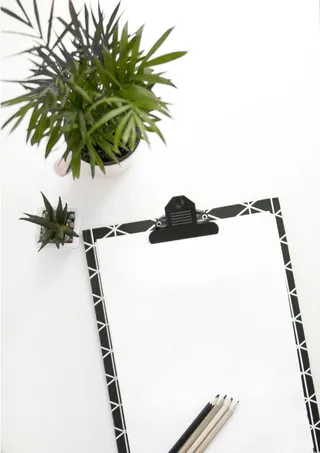 白色表面盆栽植物旁的纸