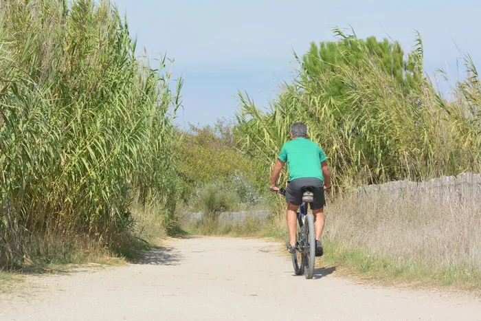 自行车，自行车，自行车，*，休闲，骑自行车的人，自然，运动