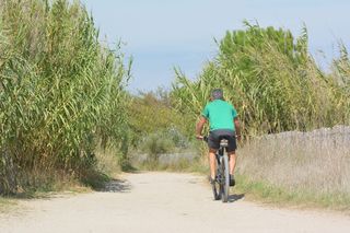 自行车，自行车，自行车，*，休闲，骑自行车的人，自然，运动
