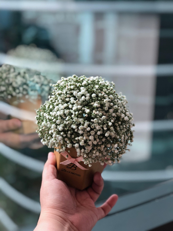 白花浅聚焦摄影