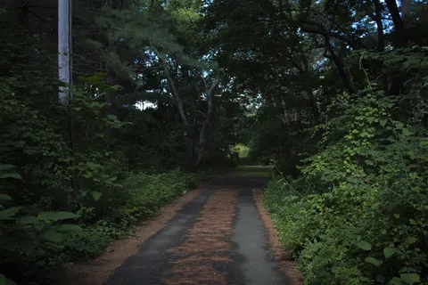 自然,不祥,户外,绿色,树林,道路,乡村,树叶 自然,不祥,户外,绿色,树林,道路,乡村,树叶