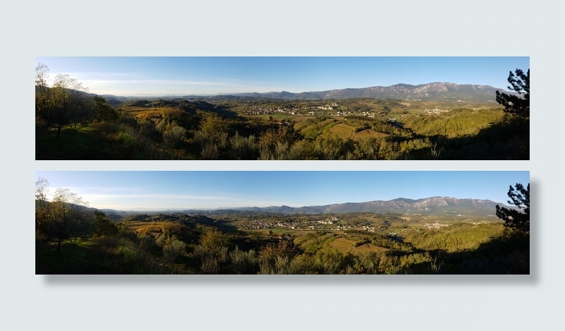 树木覆盖的山景