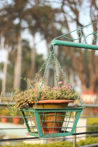 照片，图片，皮克斯湾，莫瑞安·潘图尔，佳能，相机，摄影师，镜头