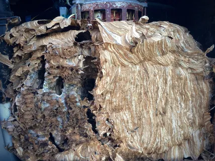 俄罗斯,托尔马乔沃,无人,白天,特写,图案,工业,纹理 俄罗斯,托尔马乔沃,无人,白天,特写,图案,工业,纹理