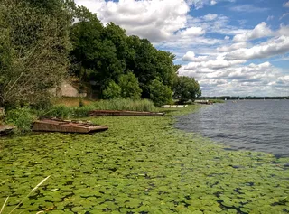 波兰，泽格泽，profesora janusza groszkowskiego 3，水库，湖泊，睡莲，船只，莉莉