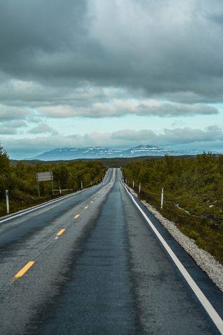 瑞典, strasse, 道路, 公路, 自然, 自然, 森林, 树