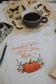 白色织物上的各色物品