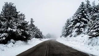 冬季积雪覆盖的树木之间的混凝土道路的灰度照片