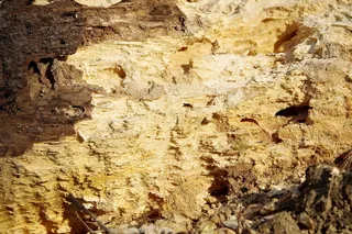 木材的质地, 树, touchwood, 树干, 岩石, 石头, 地质学, 苛刻