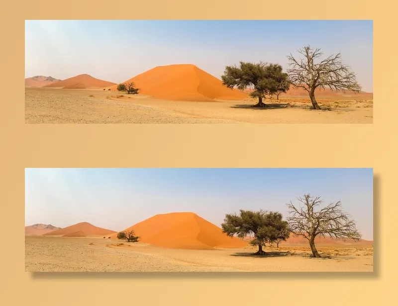 照片，绿色，树木，沙漠，白天，非洲，纳米比亚，景观