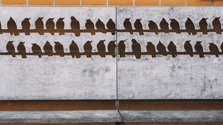 艺术，装饰，街头艺术，木凳，装饰，雕刻，鸟类，设计