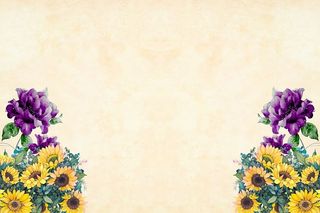 紫色和黄色的花在浅色背景的角落。