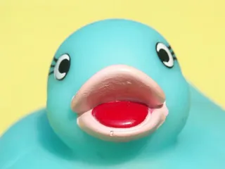 脸，有趣，眼睛，有趣，桌面背景，鸭子，蓝色，黄色