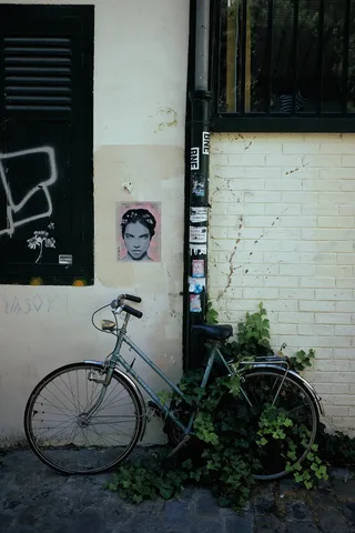 巴黎，蒙马特，法国，街头艺术，艺术，叶子，叶子，复古