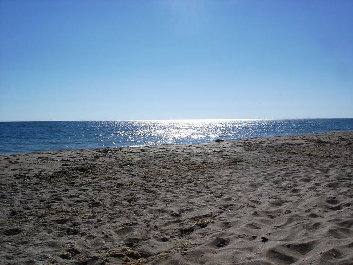 海滩，海岸，沙滩，海边，海，水，夏天，假期