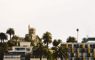 智利，比尼亚德尔马，树木，天空，天堂，森林，阿基特图拉，建筑