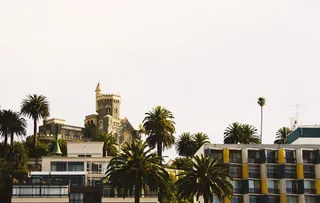 智利，比尼亚德尔马，树木，天空，天堂，森林，阿基特图拉，建筑